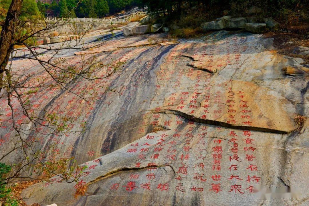 逗小猴开心系列194