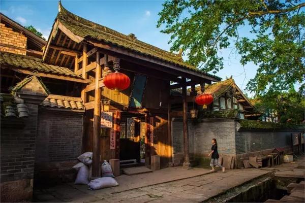 可爱猪救援2